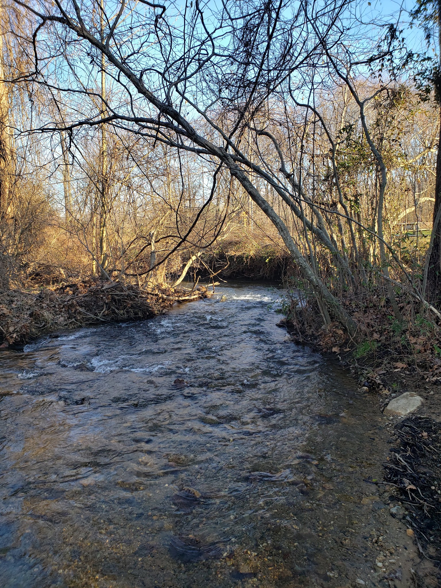 Spruce Creek Park Glenthorne Entrance - Nellysford, VA