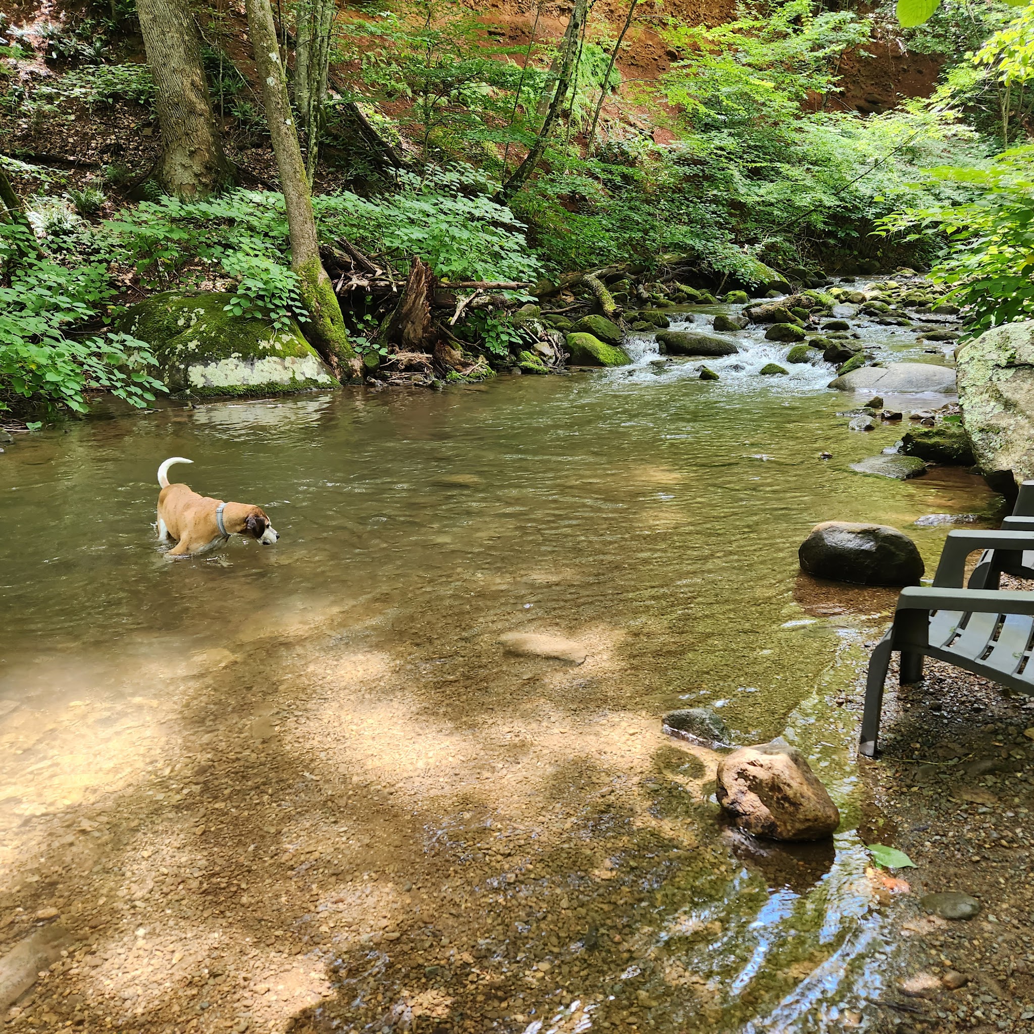 Stoney Creek Park - Nellysford, VA