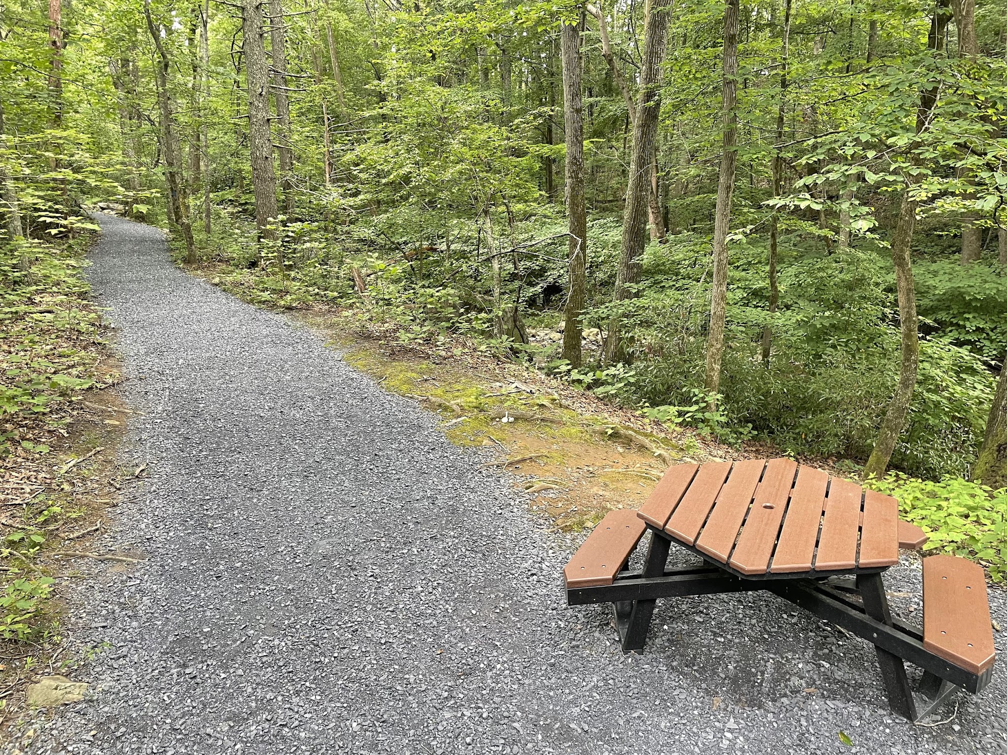 Stoney Creek Park - Nellysford, VA