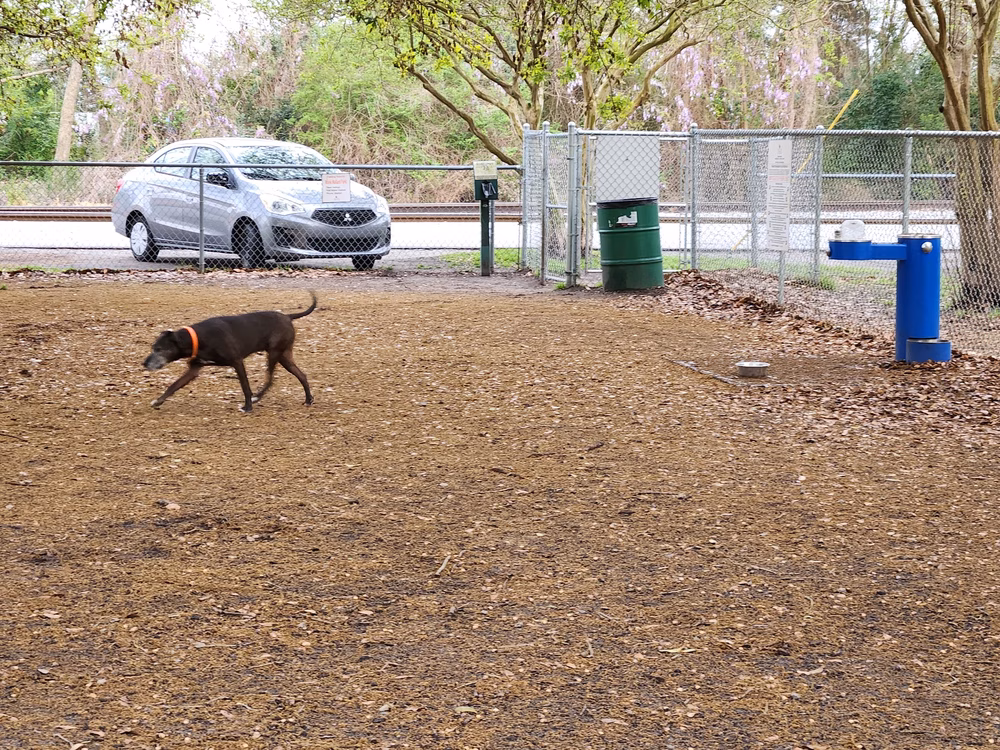 Dog Park (Monk Mallard Park) - New Bern, NC