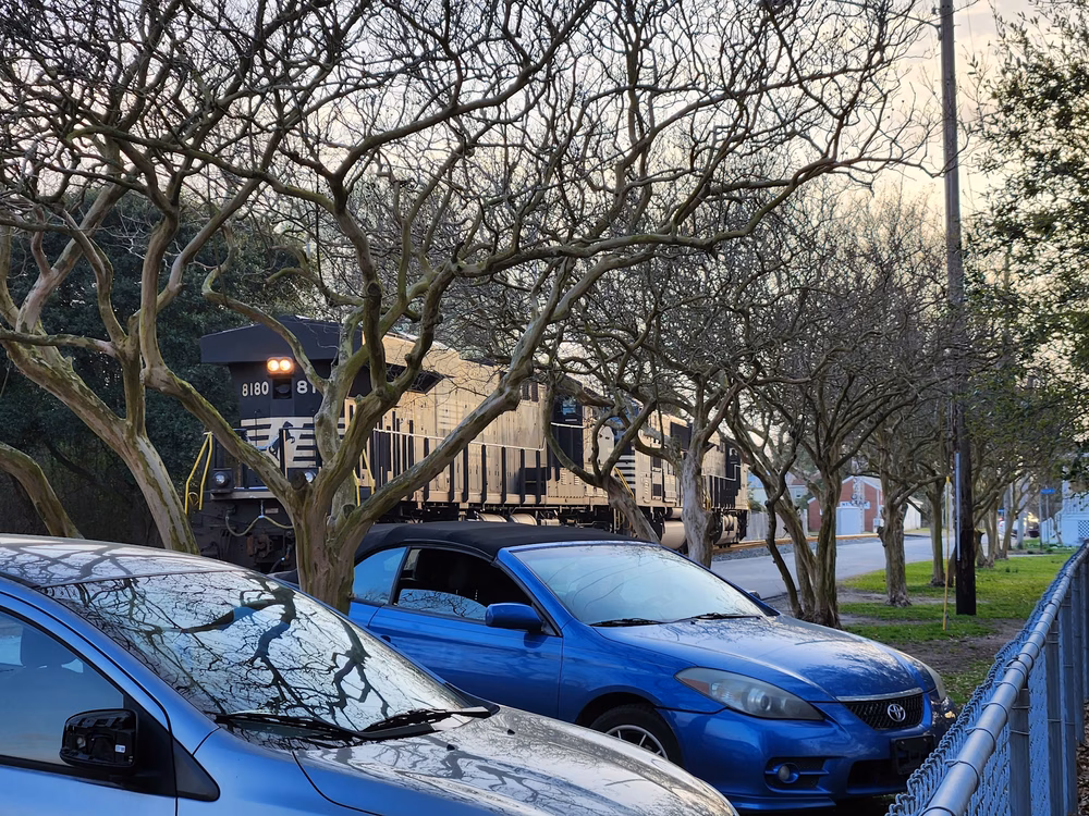 Dog Park (Monk Mallard Park) - New Bern, NC