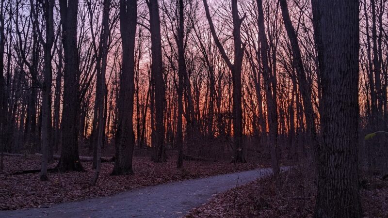 Pearson Park - New Castle, PA