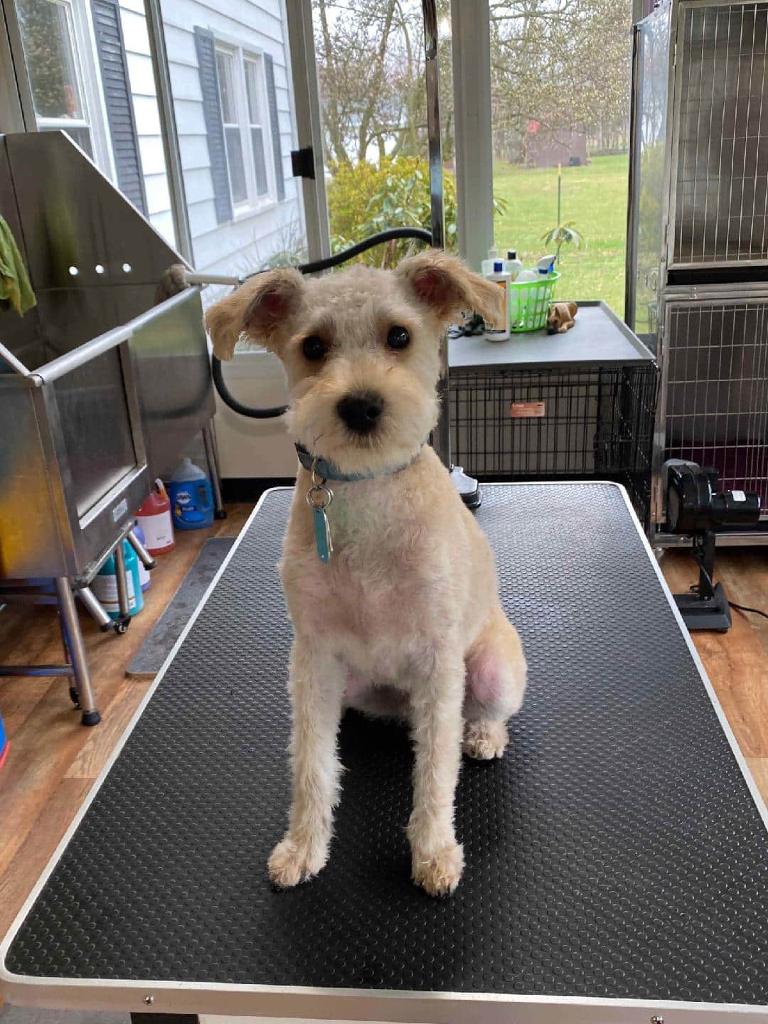 Jay’s Moondoggie Spa - New Columbia, PA