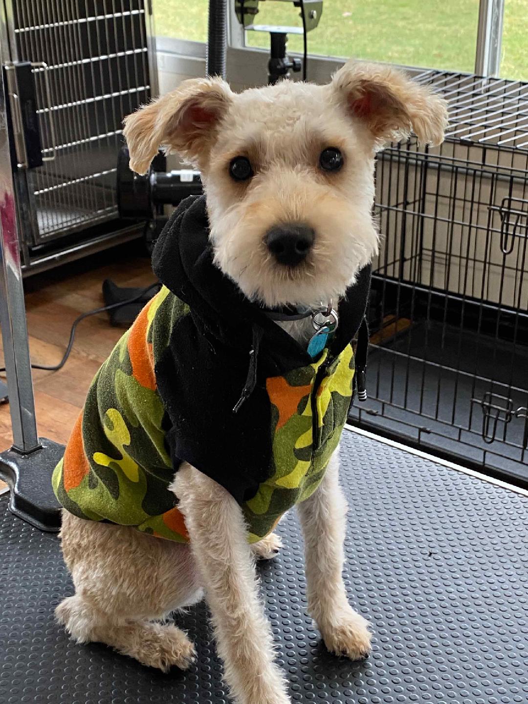 Jay’s Moondoggie Spa - New Columbia, PA