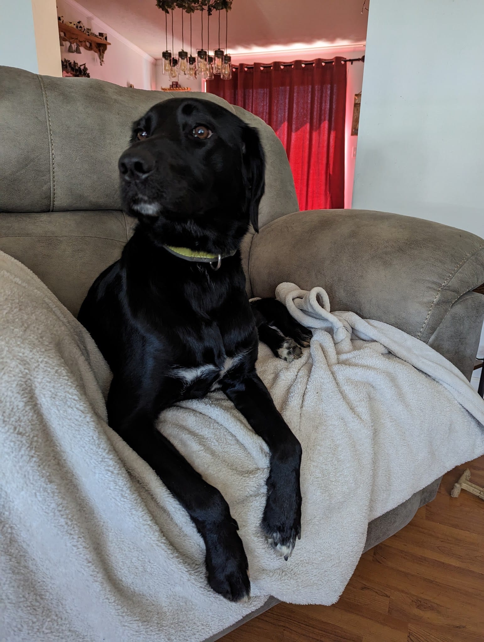 Jay’s Moondoggie Spa - New Columbia, PA