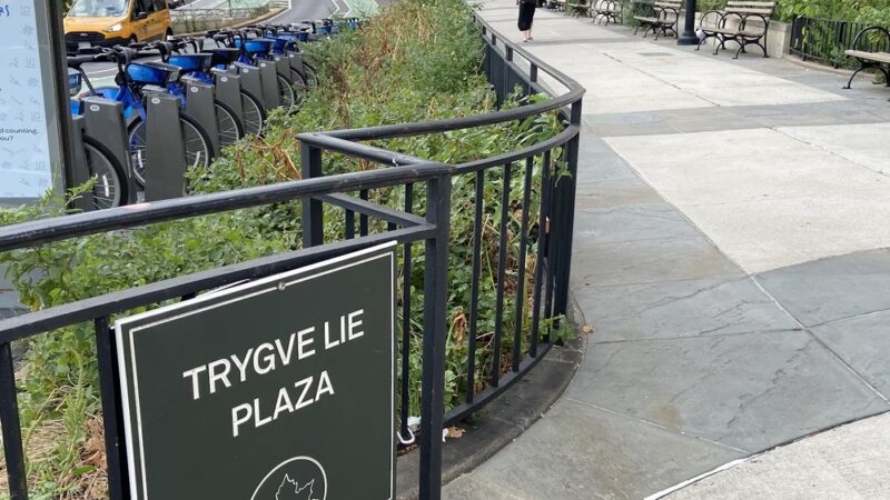 Trygve Lie Plaza - New York, NY
