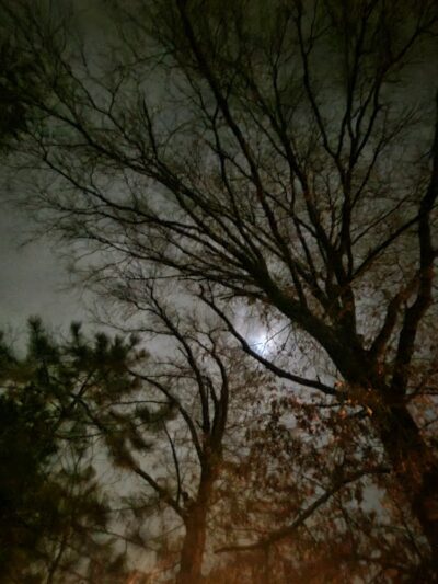 Walker Park - Newton, MA