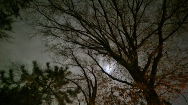 Walker Park - Newton, MA