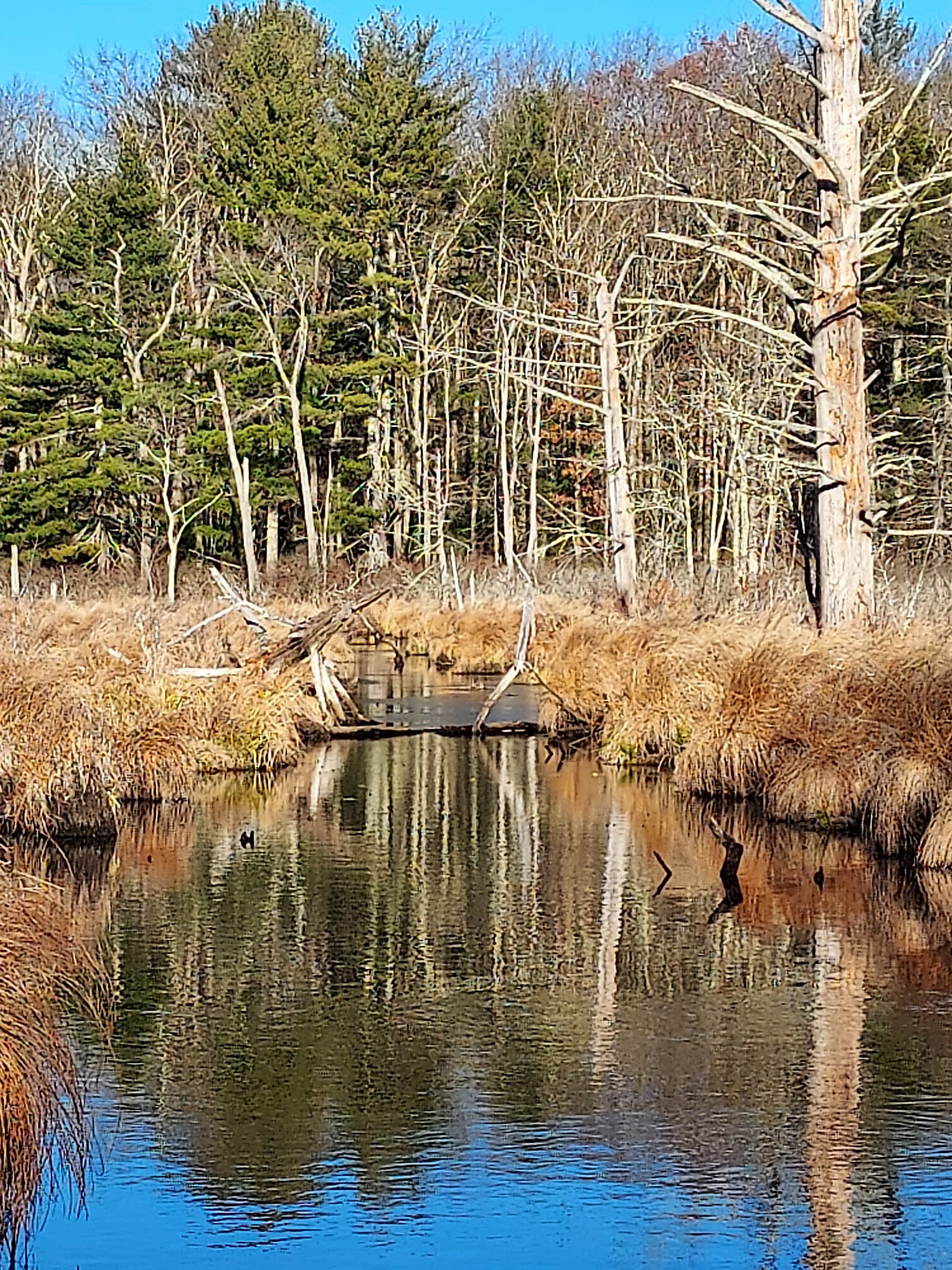 North Brookfield Rail Trail - North Brookfield, MA
