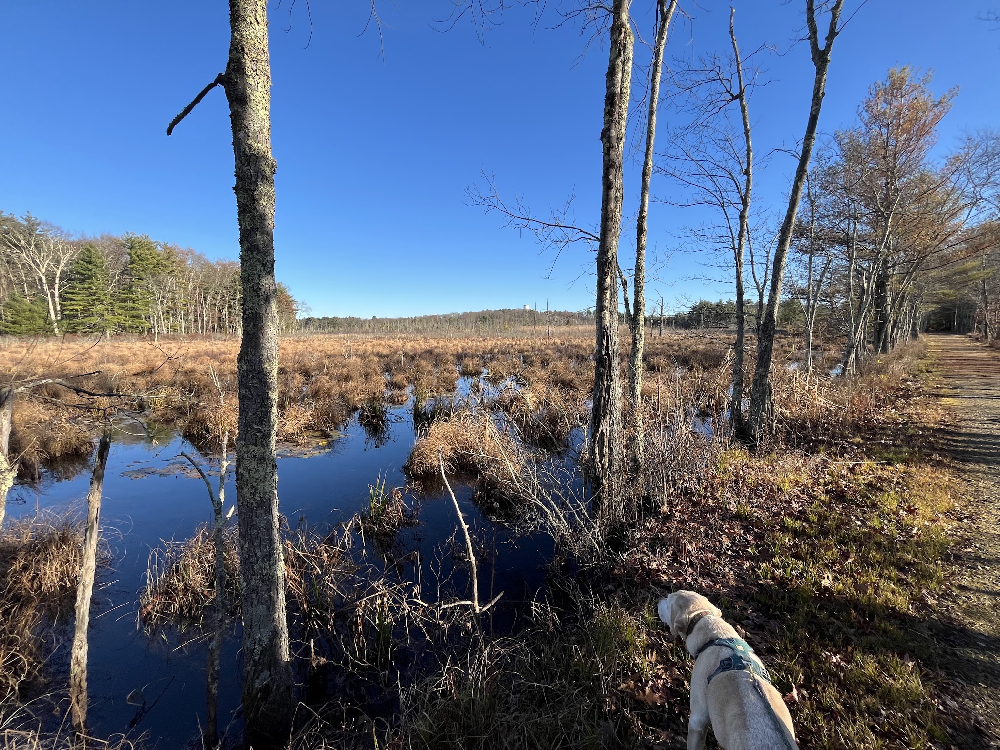 North Brookfield Rail Trail - North Brookfield, MA