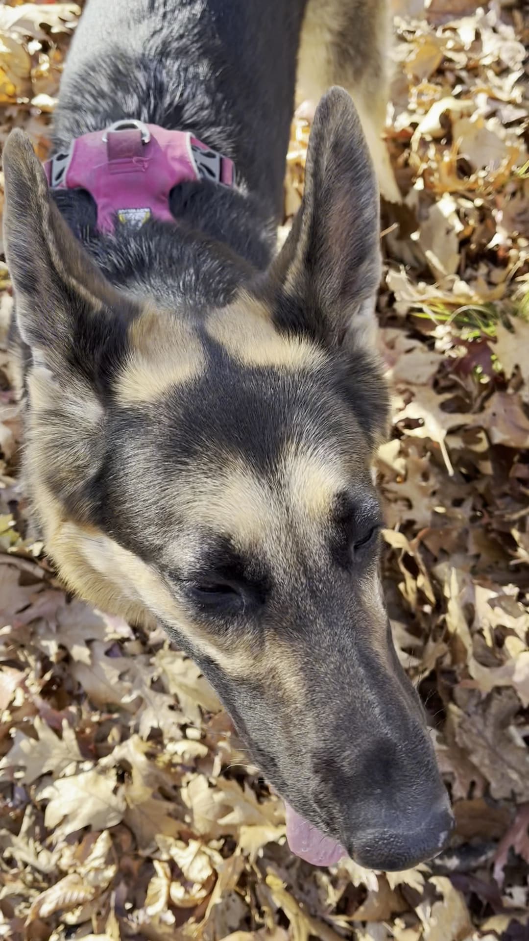 North Brookfield Rail Trail - North Brookfield, MA