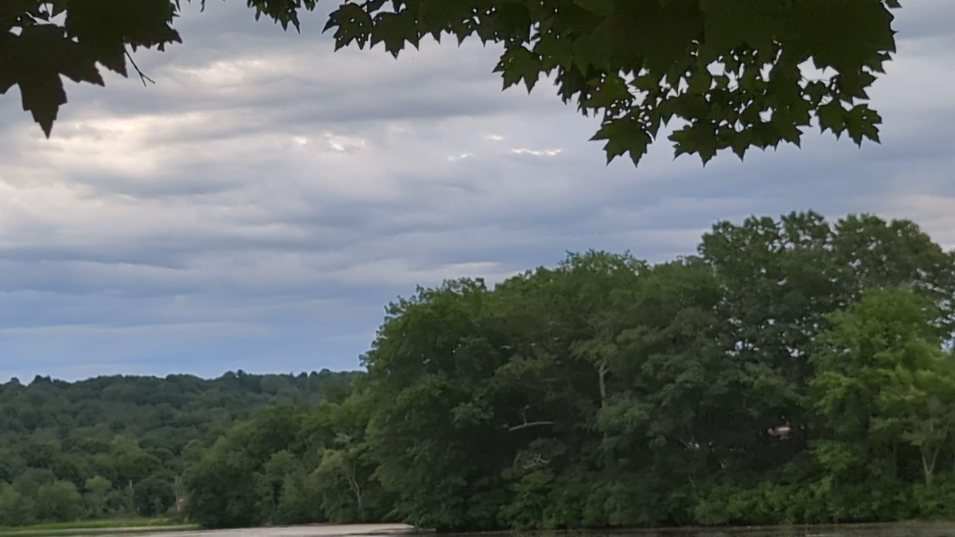 Gummere Woods And Marsters Preserve Trail - North Grafton, MA