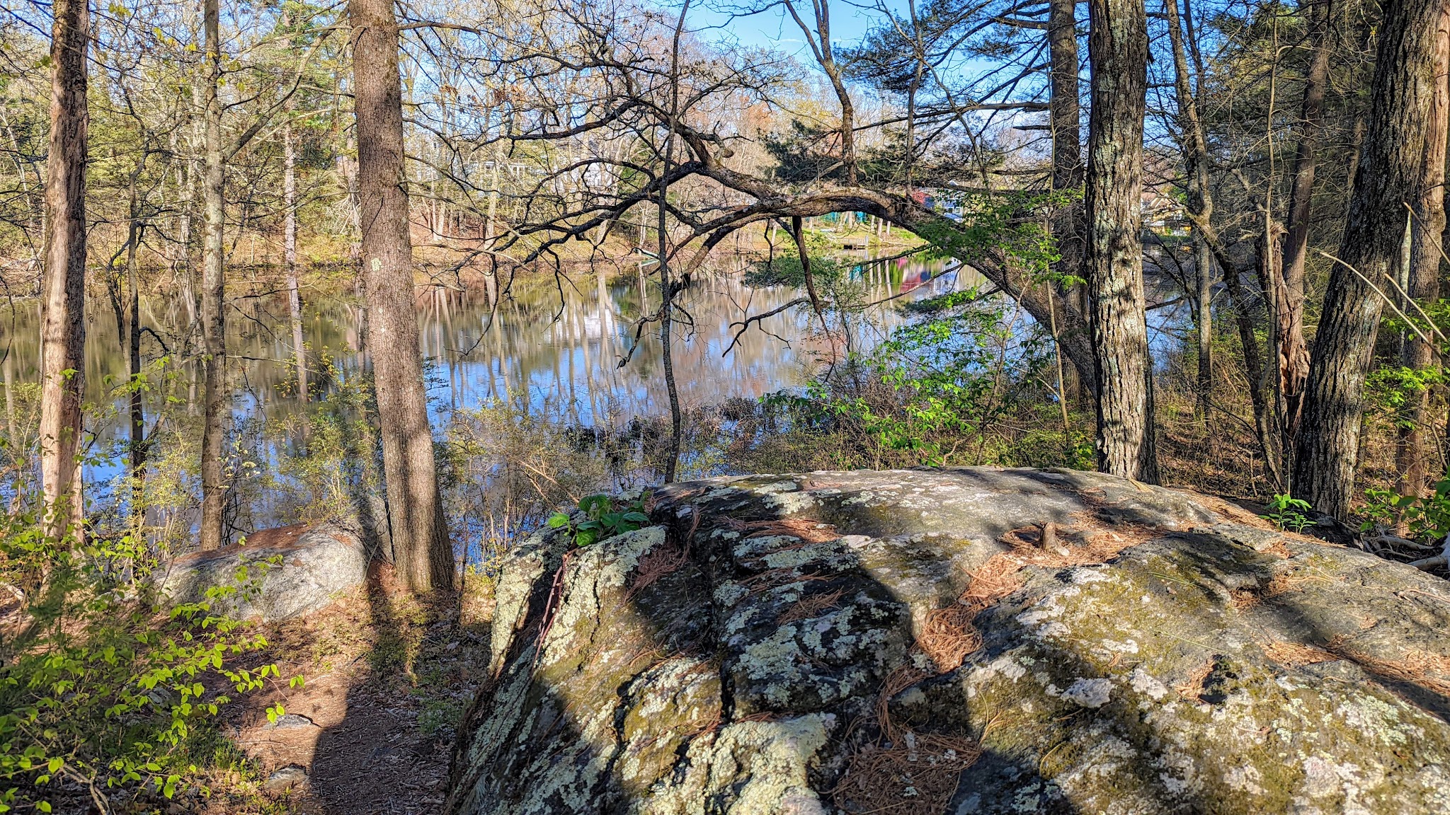 Gummere Woods And Marsters Preserve Trail - North Grafton, MA