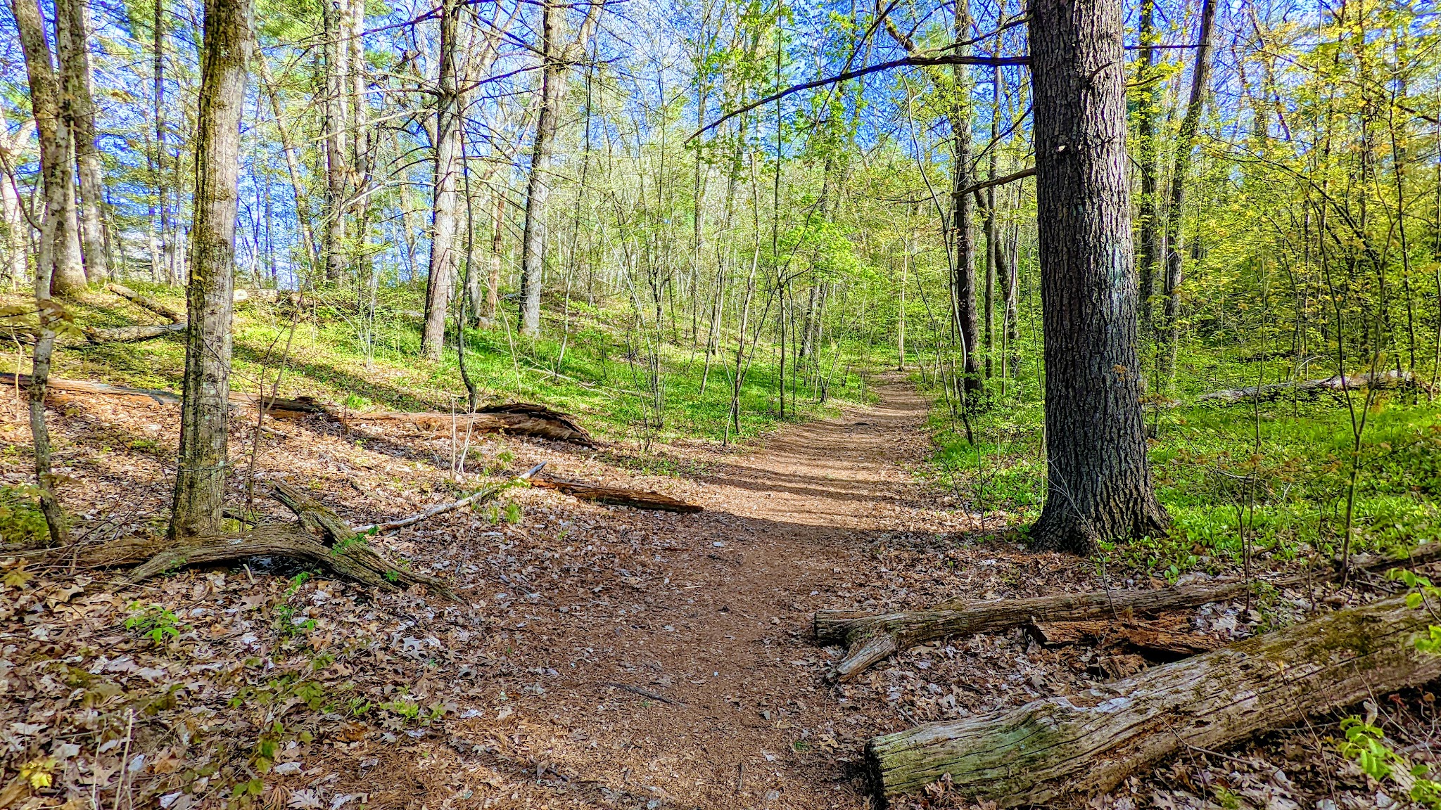 Gummere Woods And Marsters Preserve Trail - North Grafton, MA