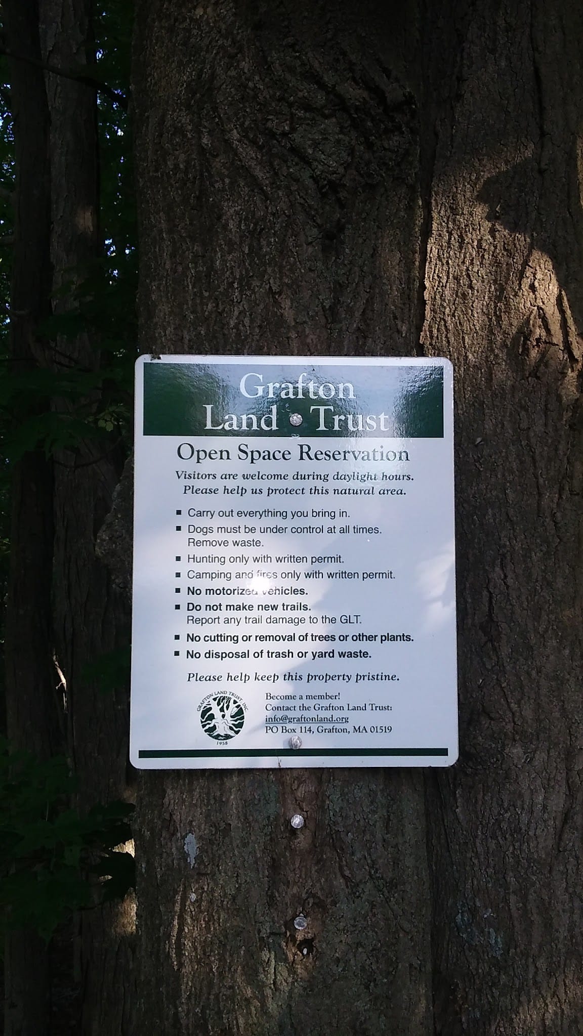 Gummere Woods And Marsters Preserve Trail - North Grafton, MA