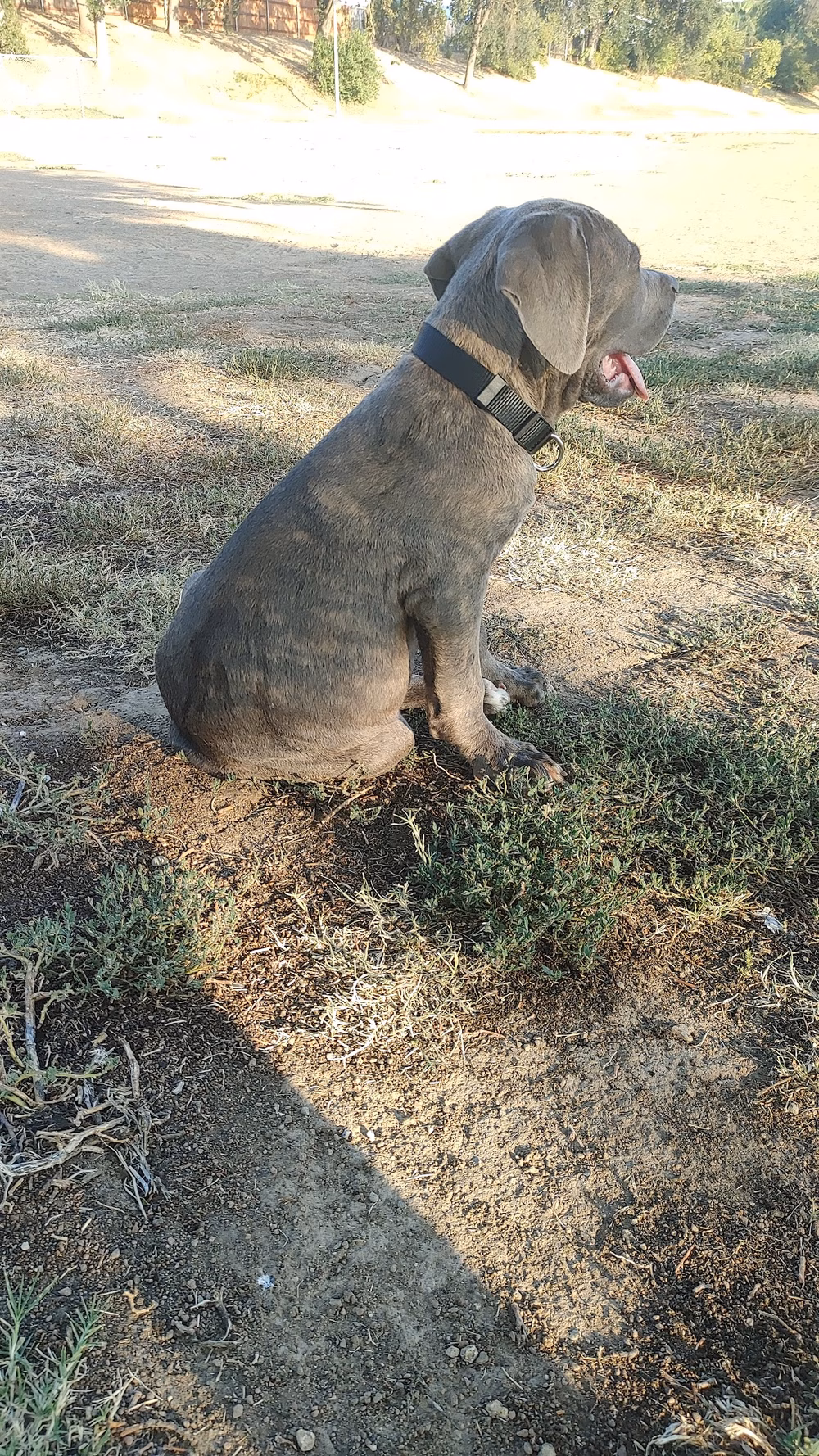 Memorial Park - North Highlands, CA