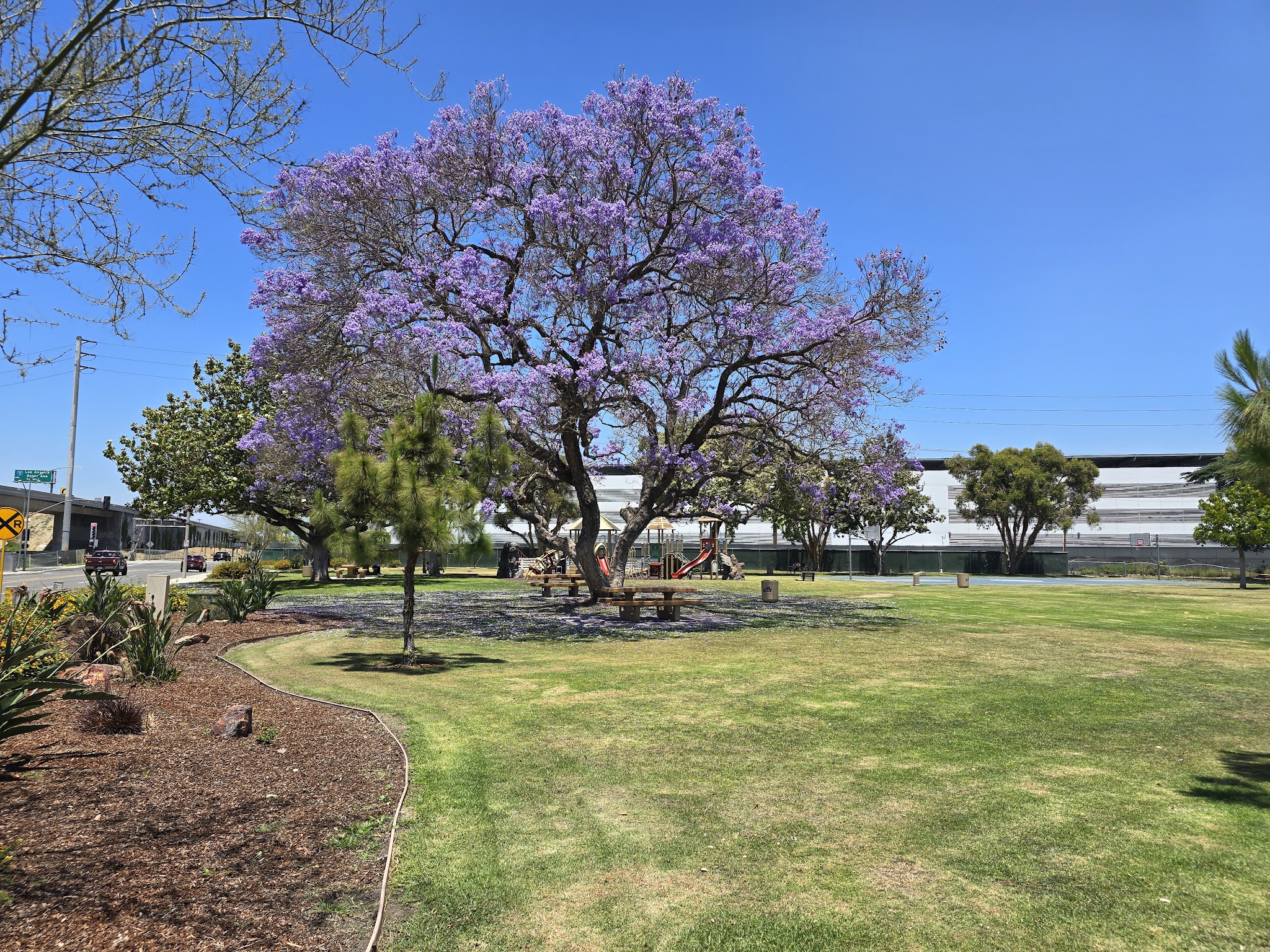Robert White Park + Dog Park - Norwalk, CA