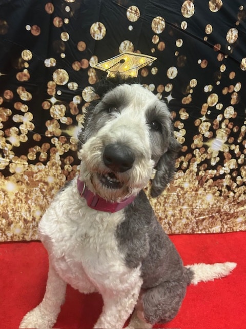 Dogtopia of Old Bridge - Old Bridge, NJ