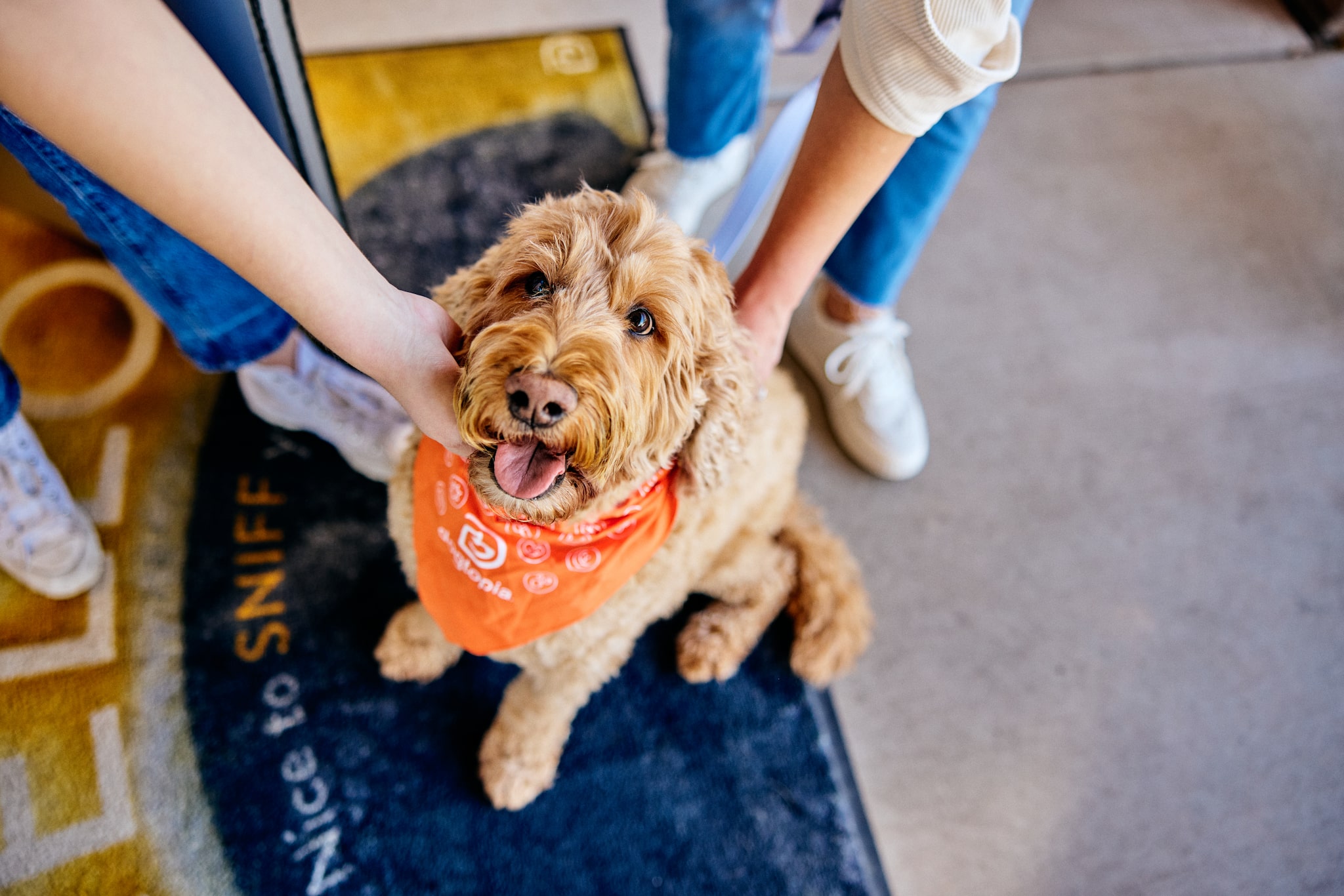 Dogtopia of Old Bridge - Old Bridge, NJ
