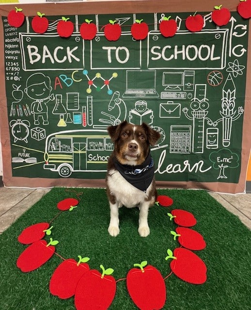 Dogtopia of Old Bridge - Old Bridge, NJ