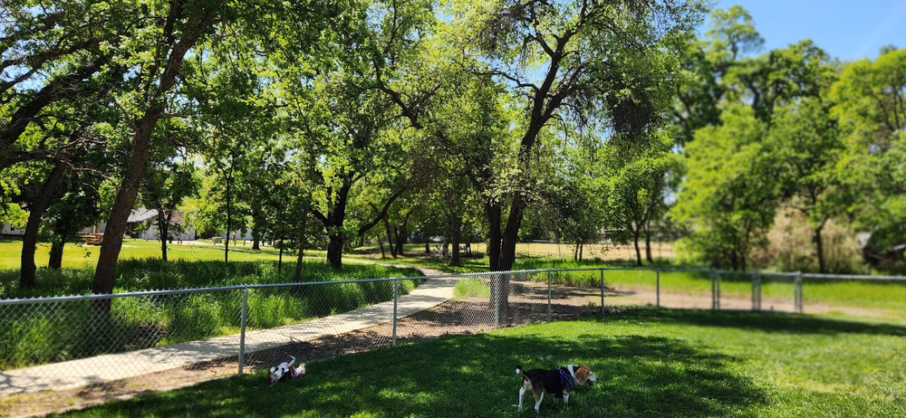 Dog park - Orangevale, CA