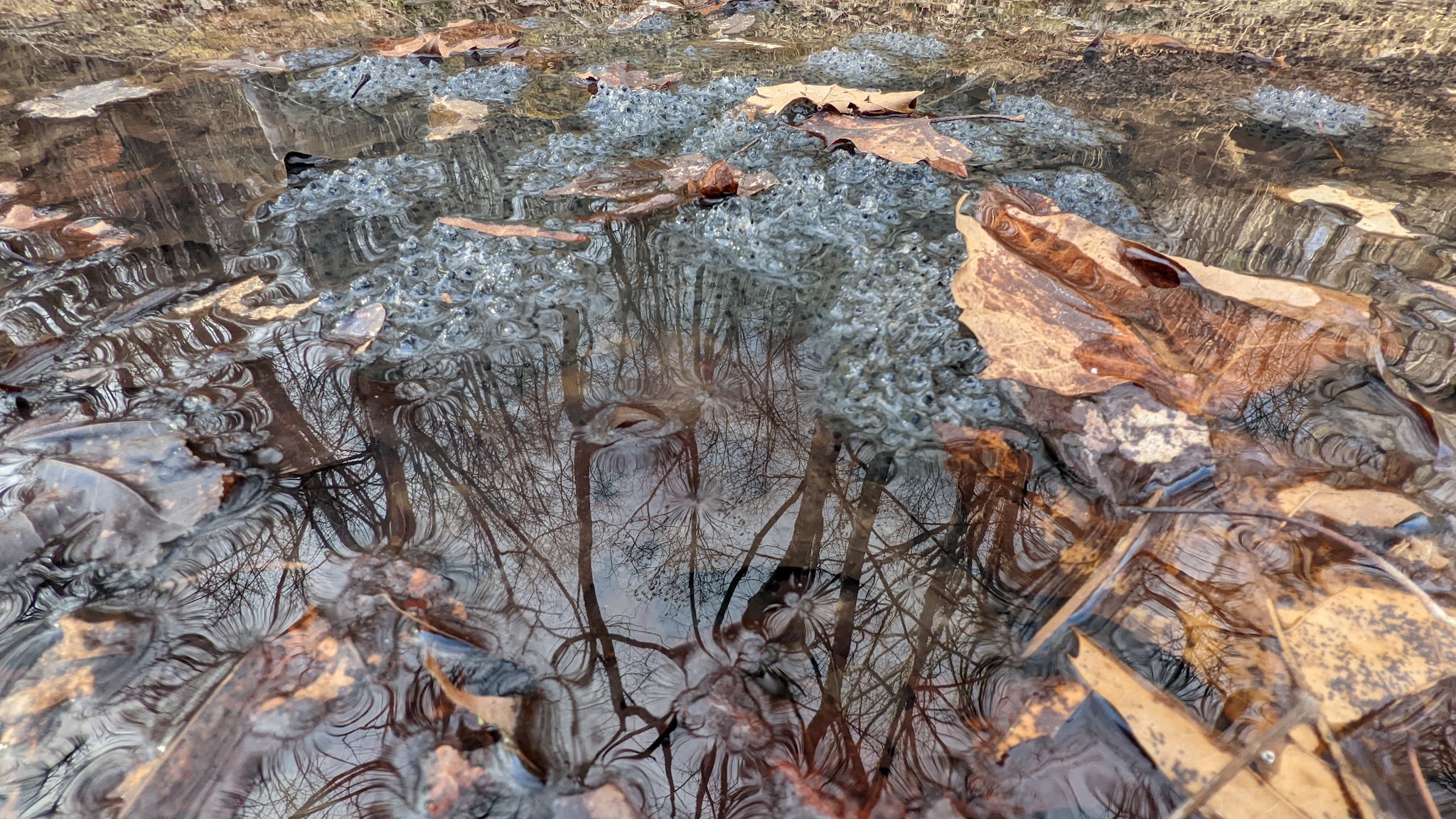 Riffle Run Recreation Area - Orlando, WV