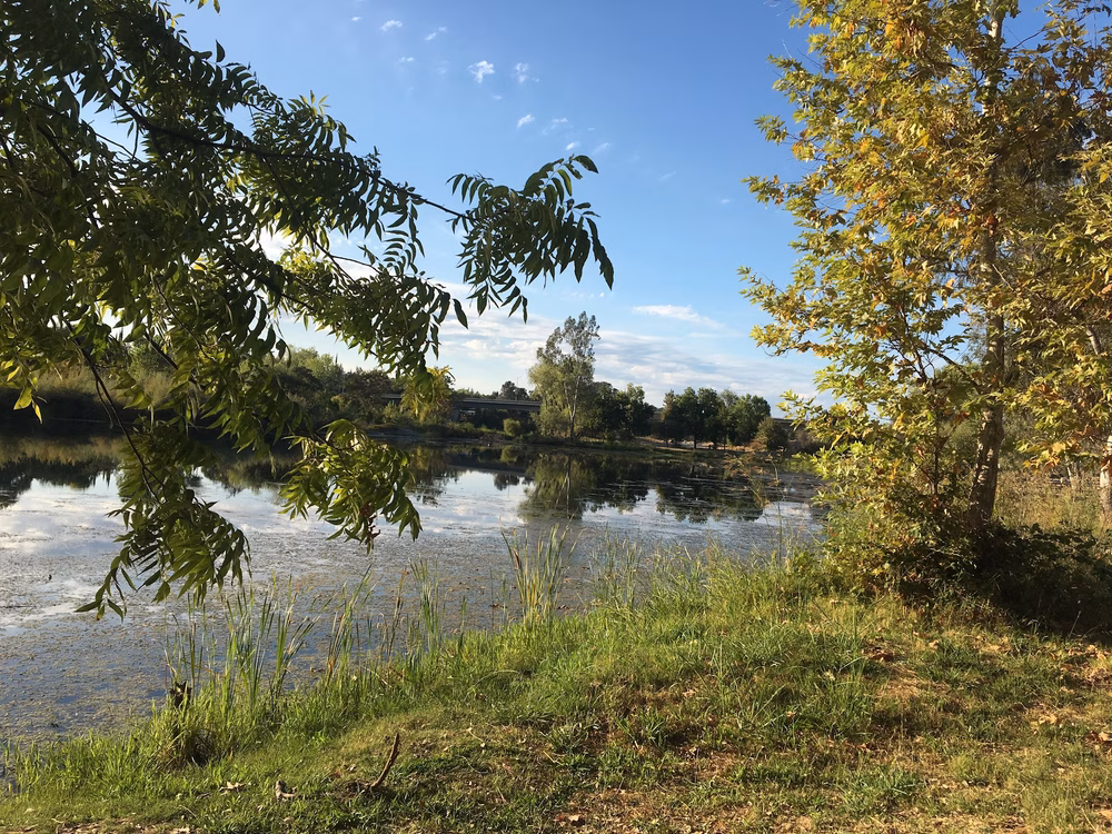 Pat Alley Memorial Dog Park - Oroville, CA