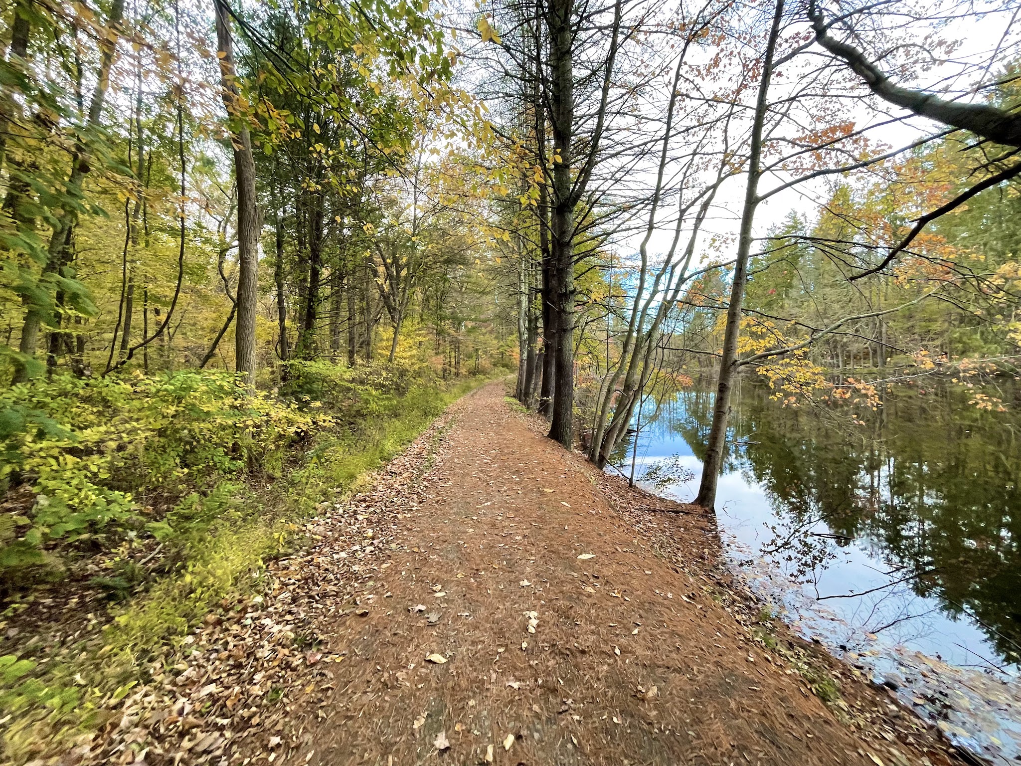 Naugatuck State Forest - Oxford, CT