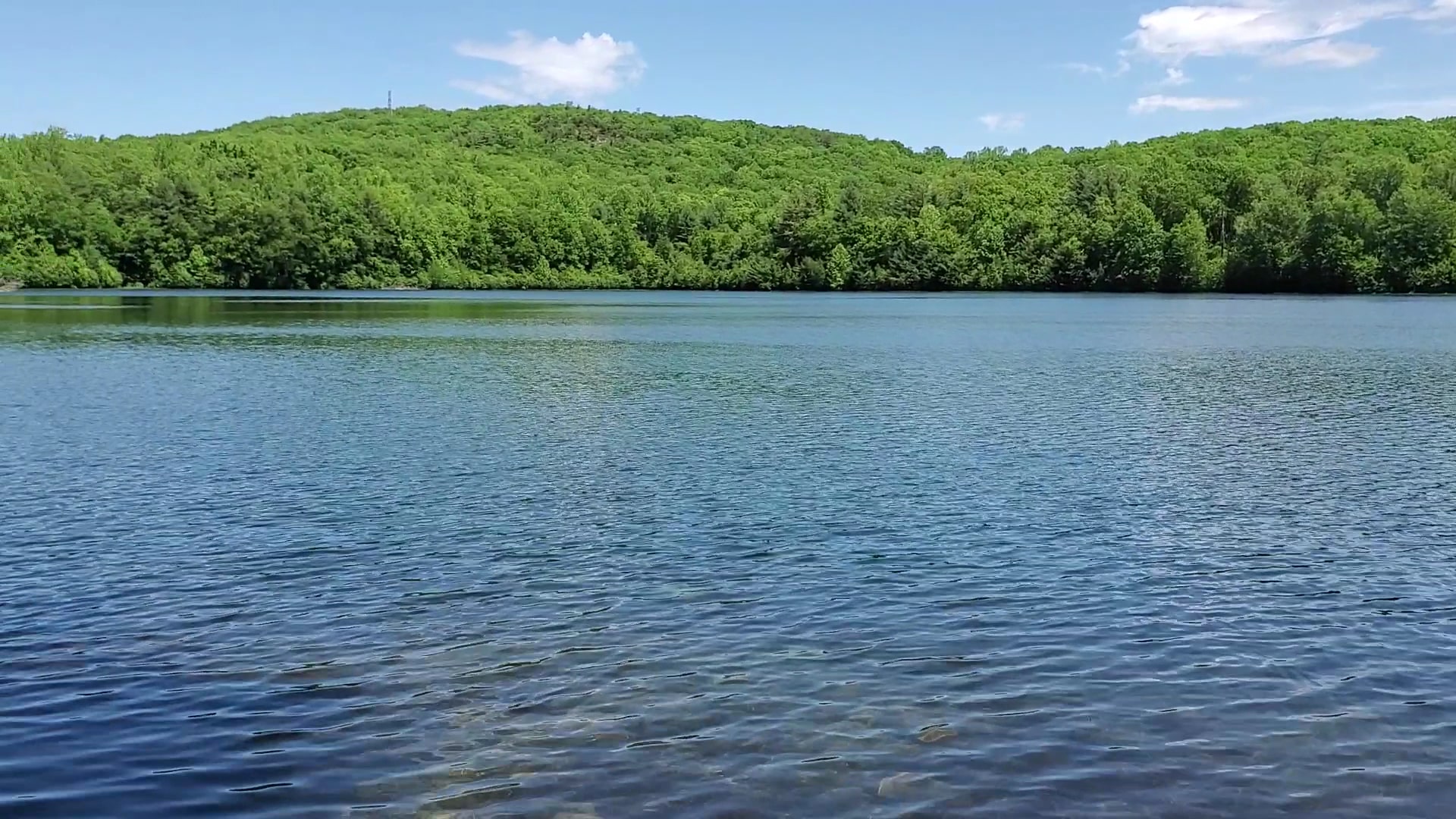 Naugatuck State Forest - Oxford, CT