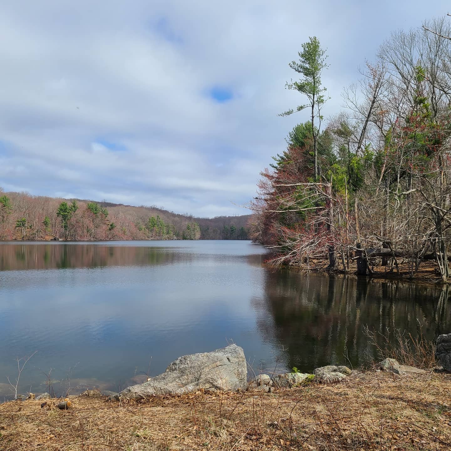 Naugatuck State Forest - Oxford, CT