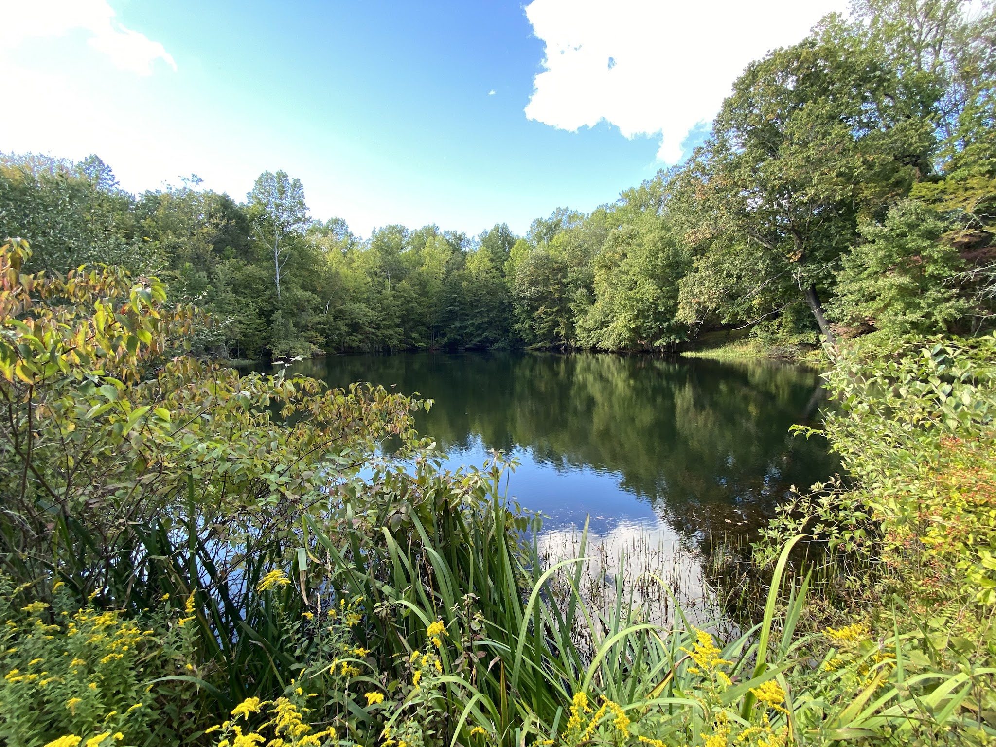 Rockhouse Hill Sanctuary - Oxford, CT