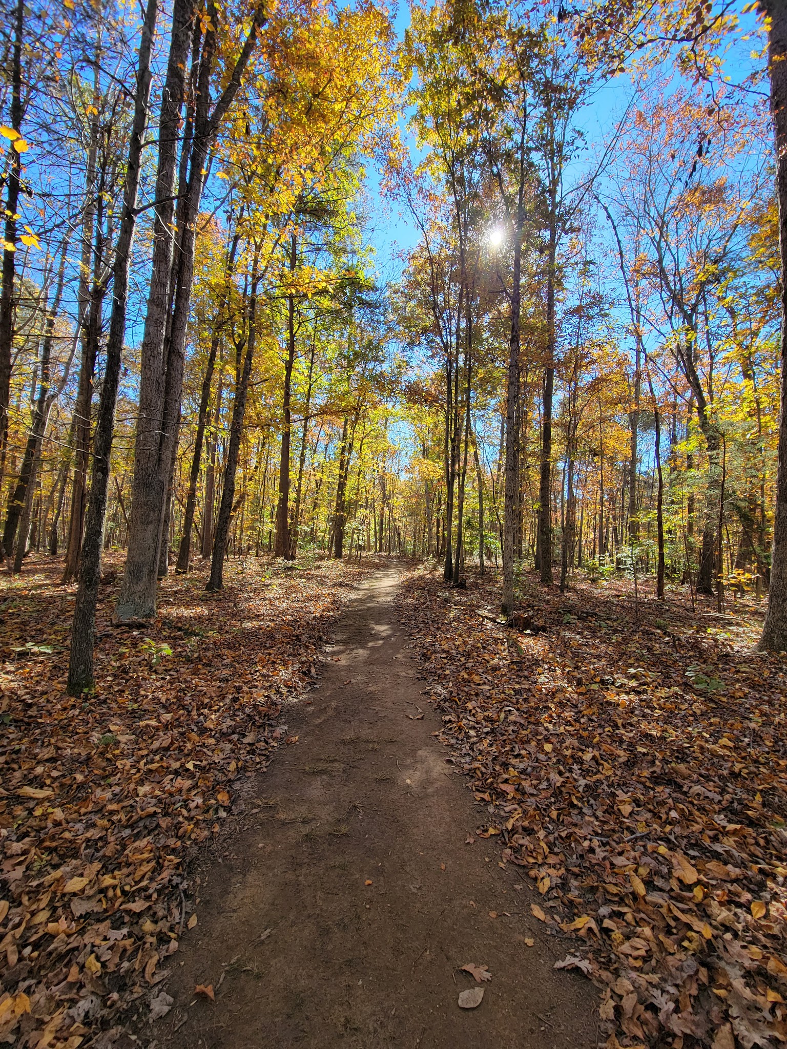 Pleasant Grove Park - Palmyra, VA