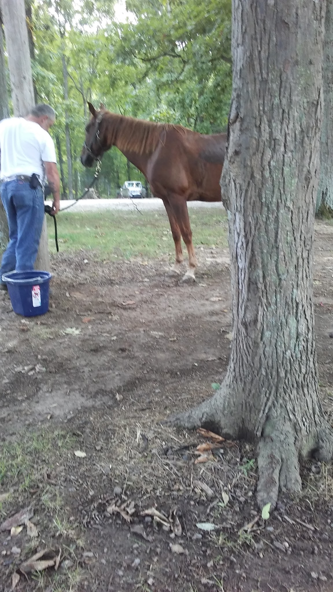 Youngs Creek Trailhead - Paoli, IN