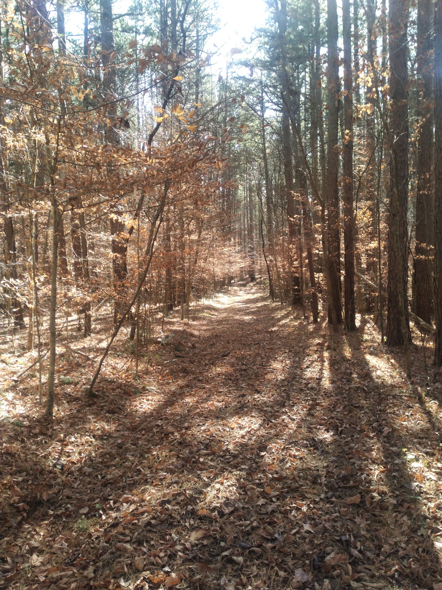 Youngs Creek Trailhead - Paoli, IN