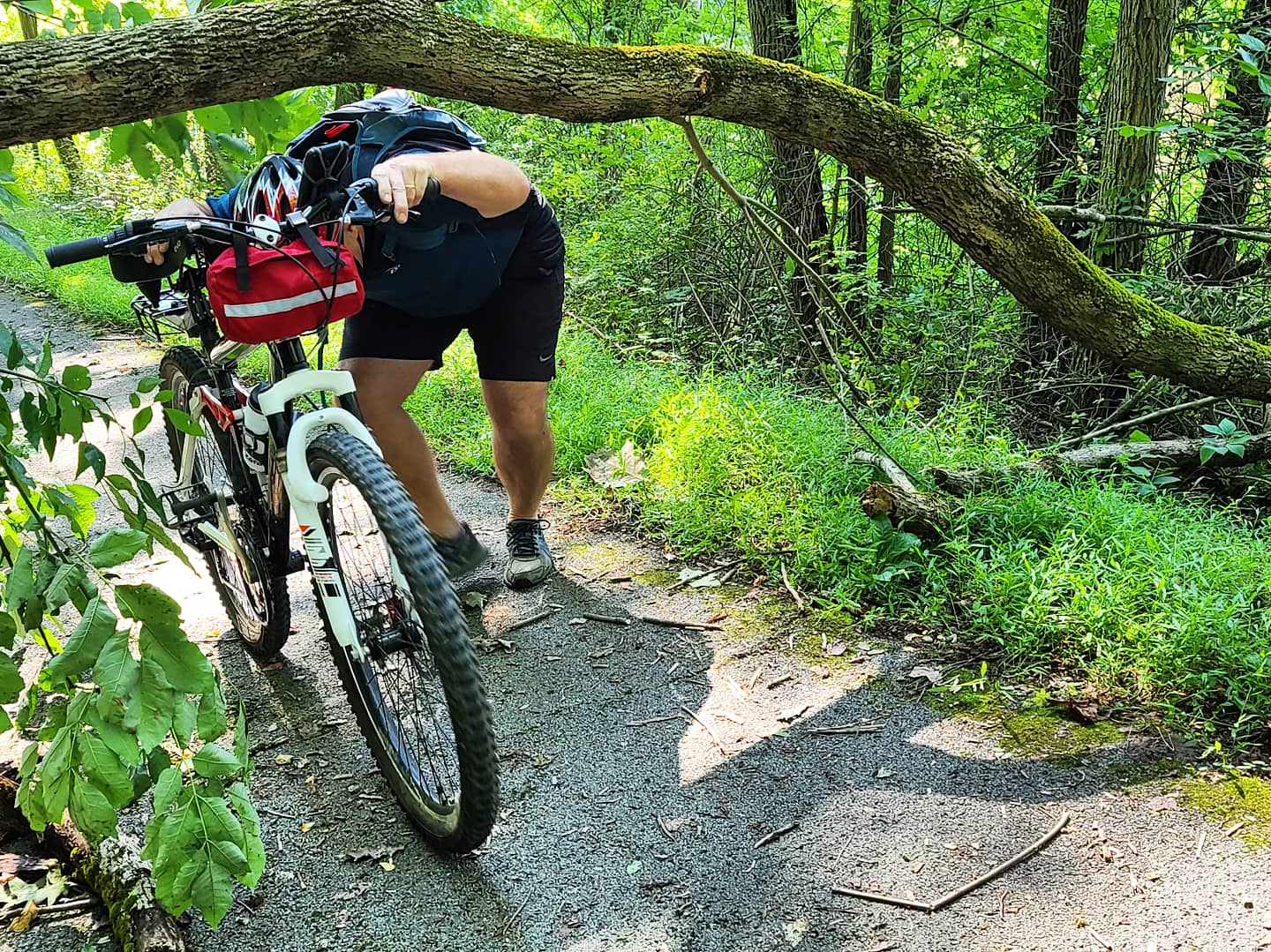 Allegheny Highlands Trail - Hambleton Trail Access - Parsons, WV