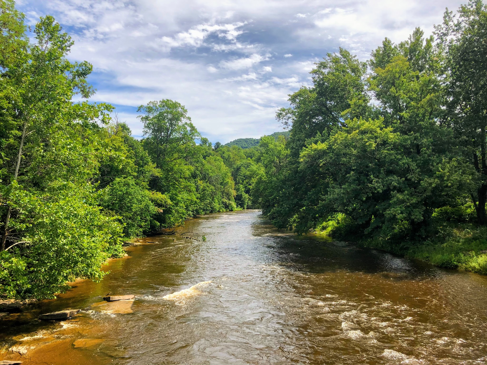 Allegheny Highlands Trail - Hambleton Trail Access - Parsons, WV