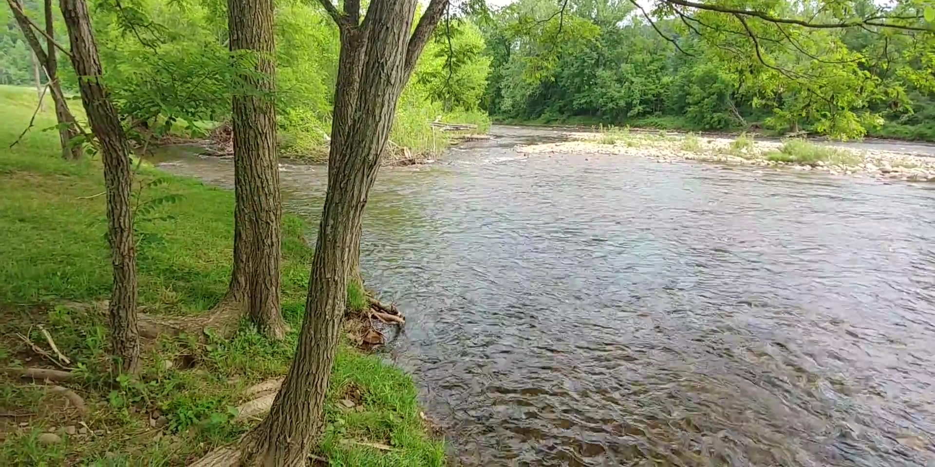 Five River Campgrounds - Parsons, WV