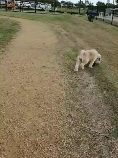 Partnership Park - Pasadena, TX