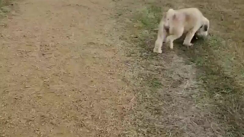 Partnership Park - Pasadena, TX