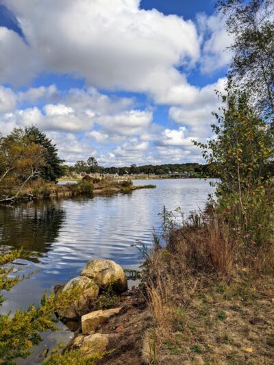 Pawcatuck River Wildlife Area - Pawcatuck, CT