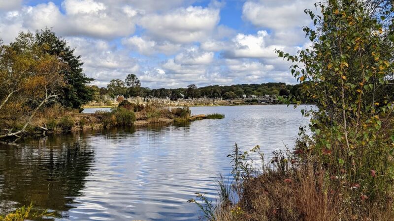 Pawcatuck River Wildlife Area - Pawcatuck, CT