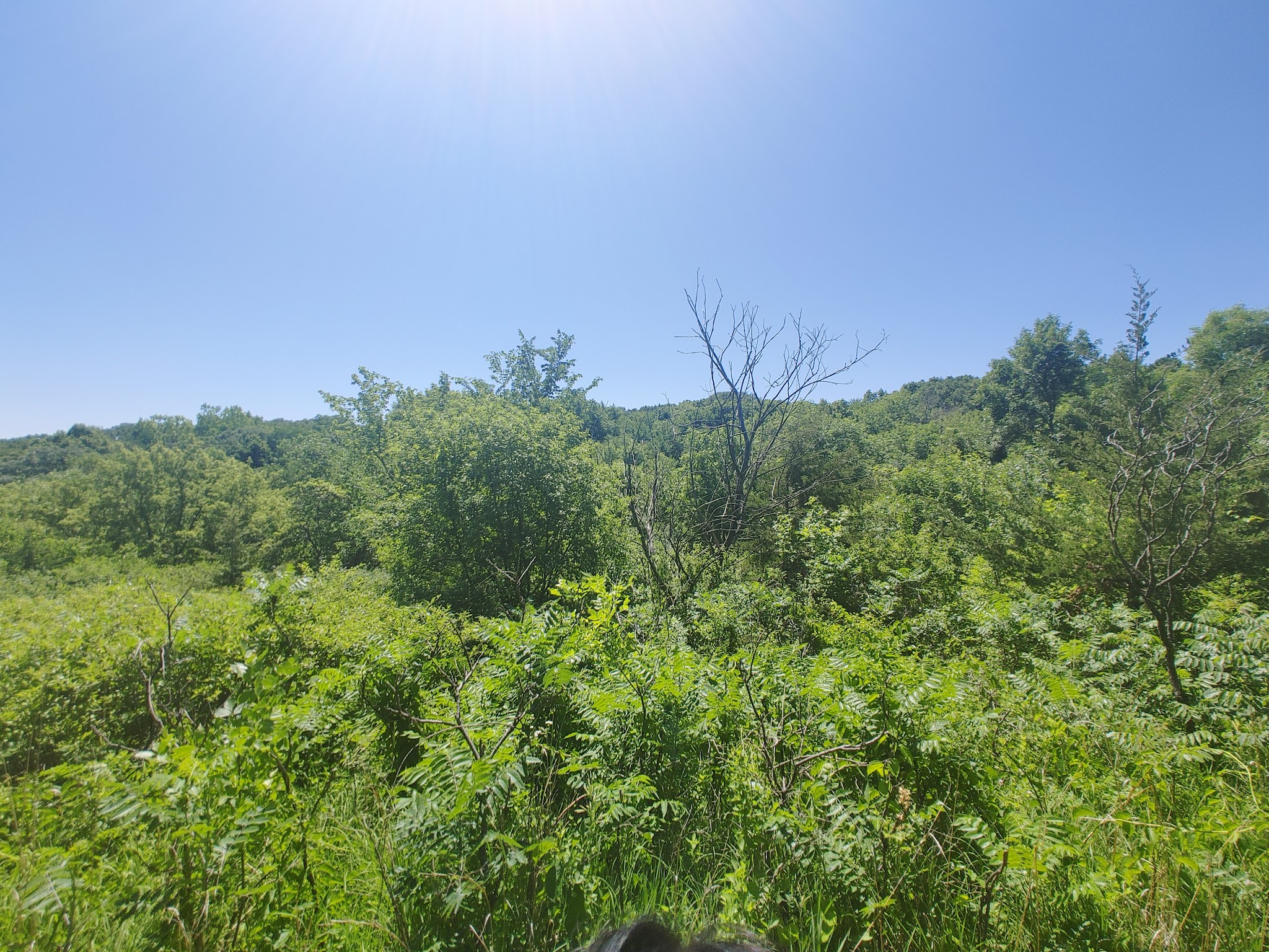Buena Vista County Park - Peterson, IA
