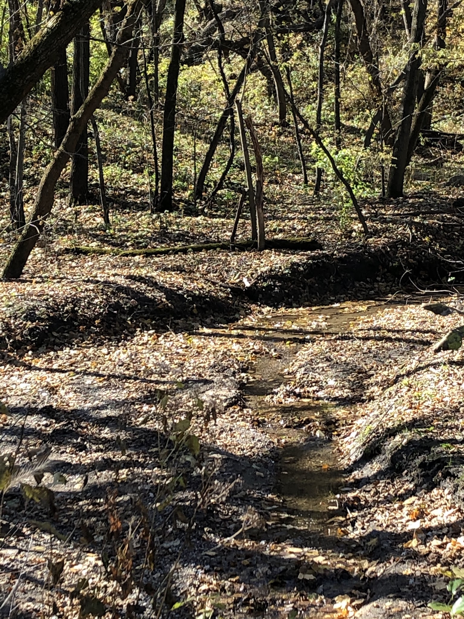 Buena Vista County Park - Peterson, IA