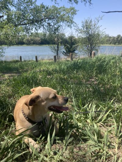 Pilger Recreation Area - Pilger, NE