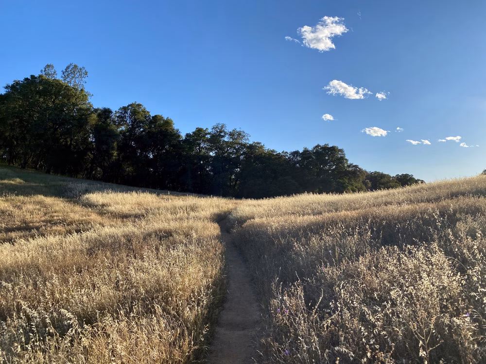 Acorn Creek Trailhead - Pilot Hill, CA