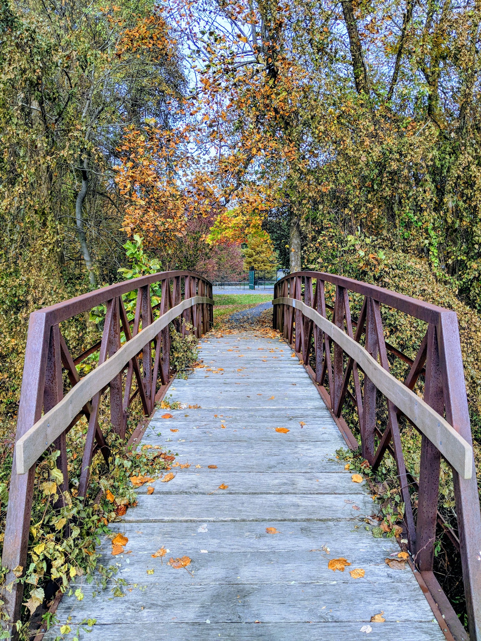 Idylwood Park - Pimmit, VA