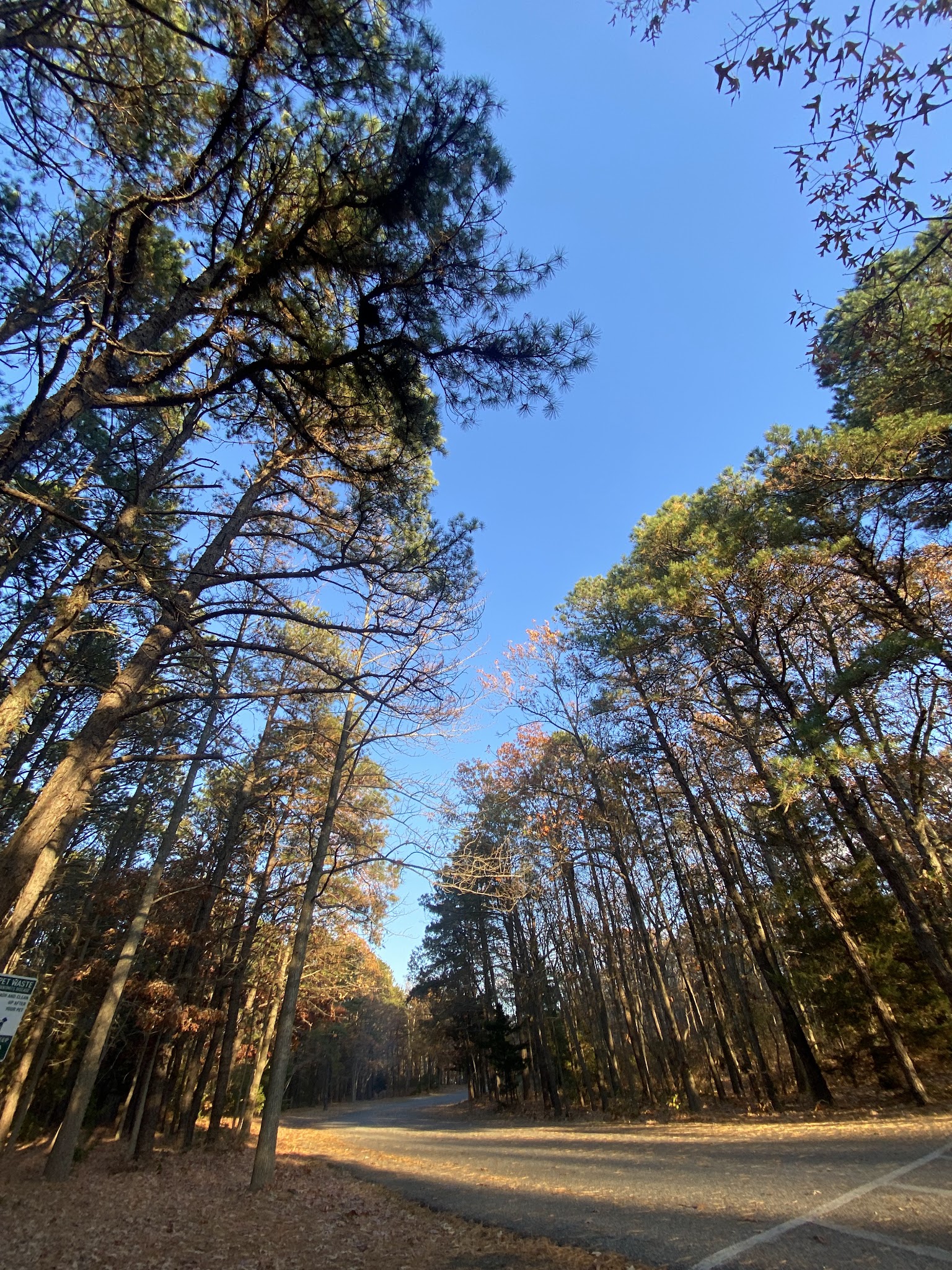 Mill Creek Park - Pine Beach, NJ