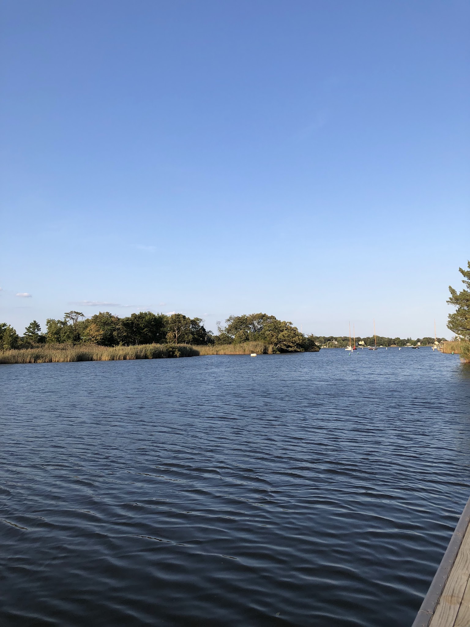 Mill Creek Park - Pine Beach, NJ