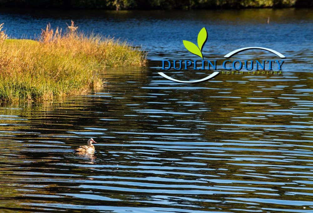 Cabin Lake County Park - Pink Hill, NC