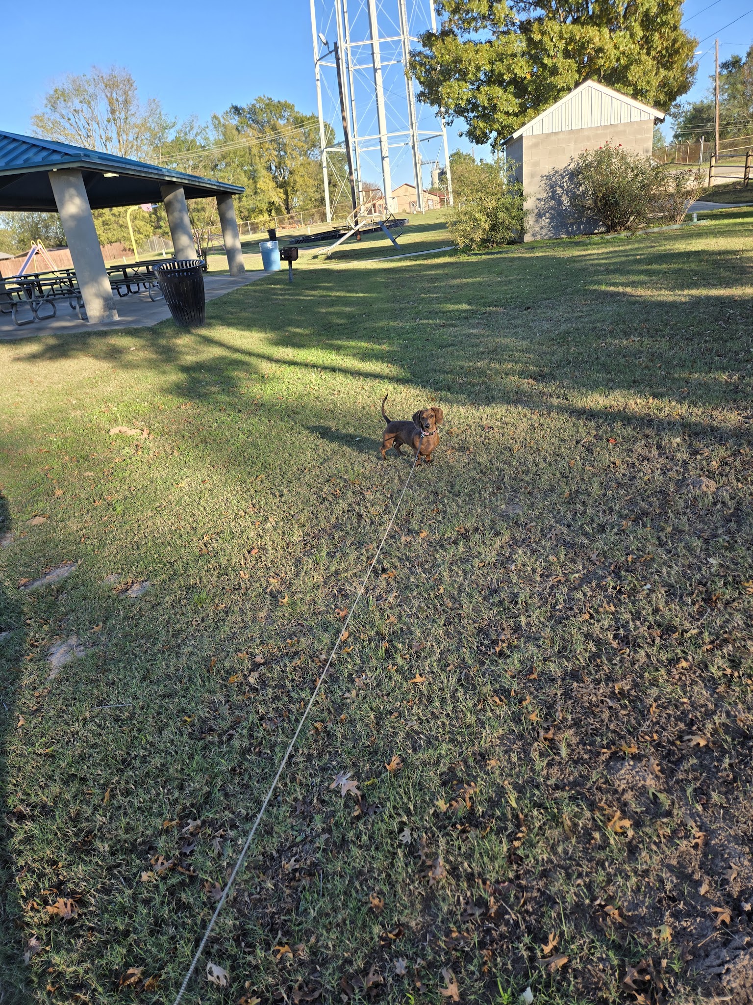 Julius Moore Park - Pittsburg, TX